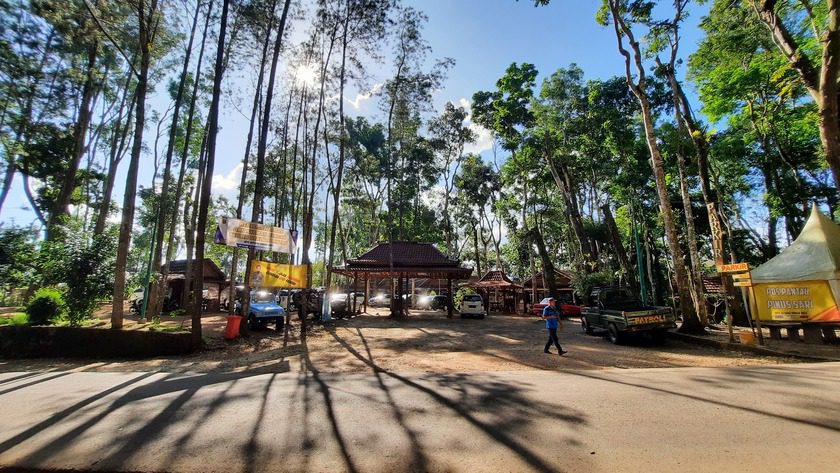 Hutan Pinus Mangunan