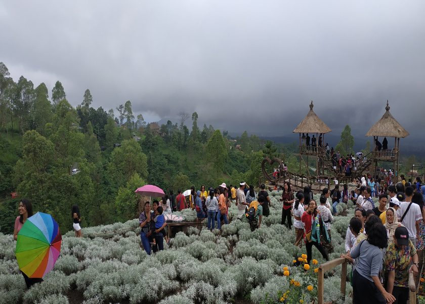 Taman Edelweis Bali 3