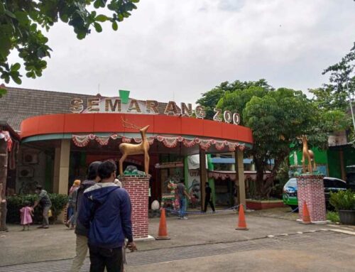 Semarang Zoo: Wahana, Tiket Masuk, Alamat, Hotel, Fasilitas