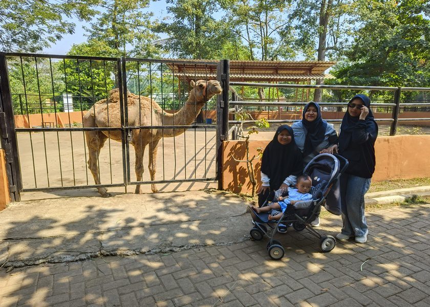 Semarang Zoo tiket masuk